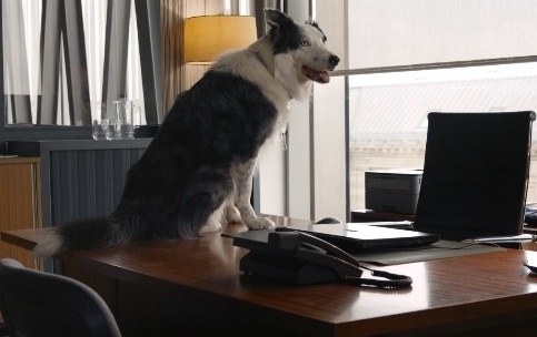 télévision,télé,médias,actu,actualité,actualités,actualite,actualites