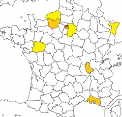 sports,football,france,actualité,actualités,actualite,actualites,actu